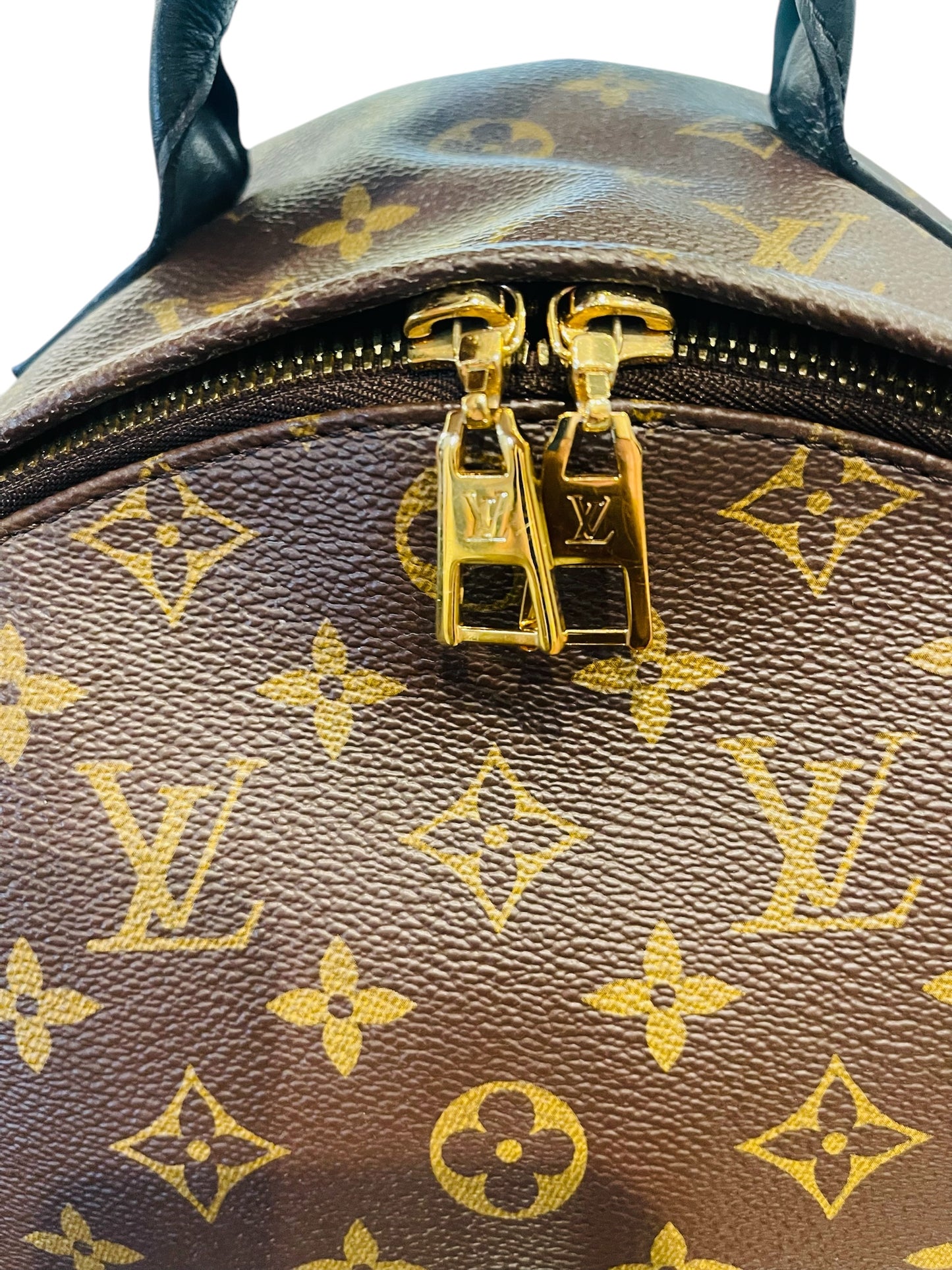 Louis Vuitton Monogram Canvas “Palm Springs” Backpack MM